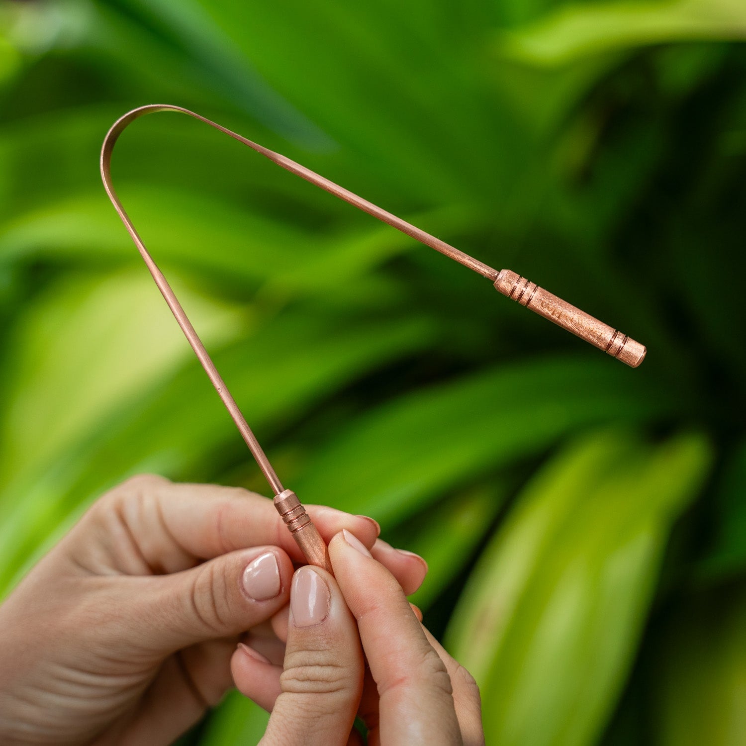 Copper Tooth Scraper (2-Pack) Pure Copper Ayurvedic Tongue Scrapers – CopperWater.com
