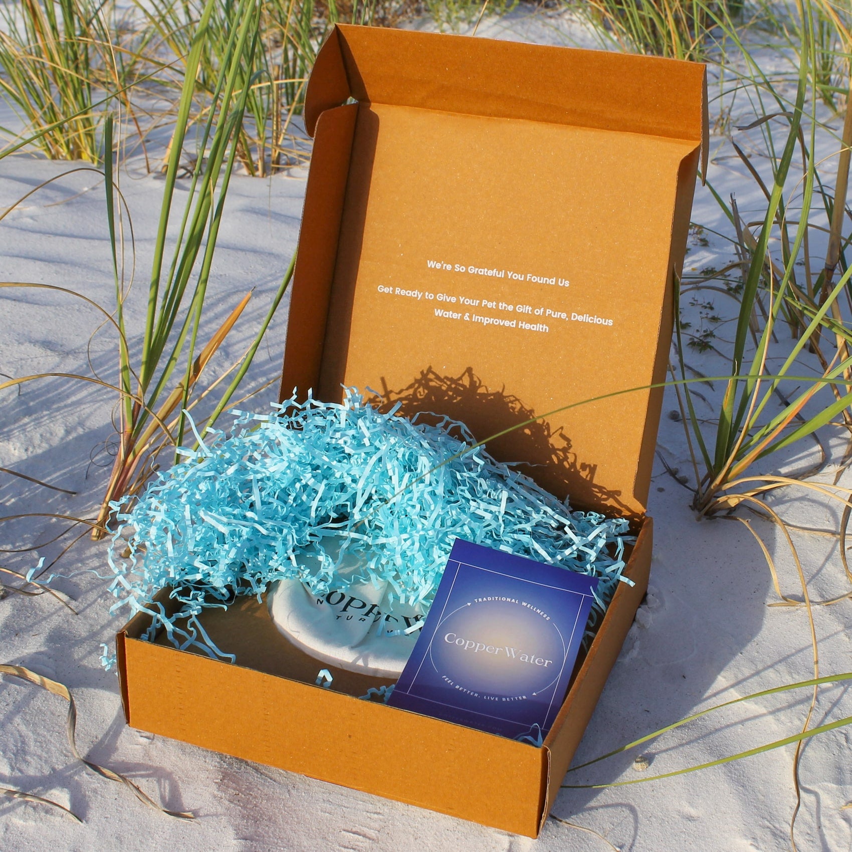 Handmade Pure Copper Pet Bowl