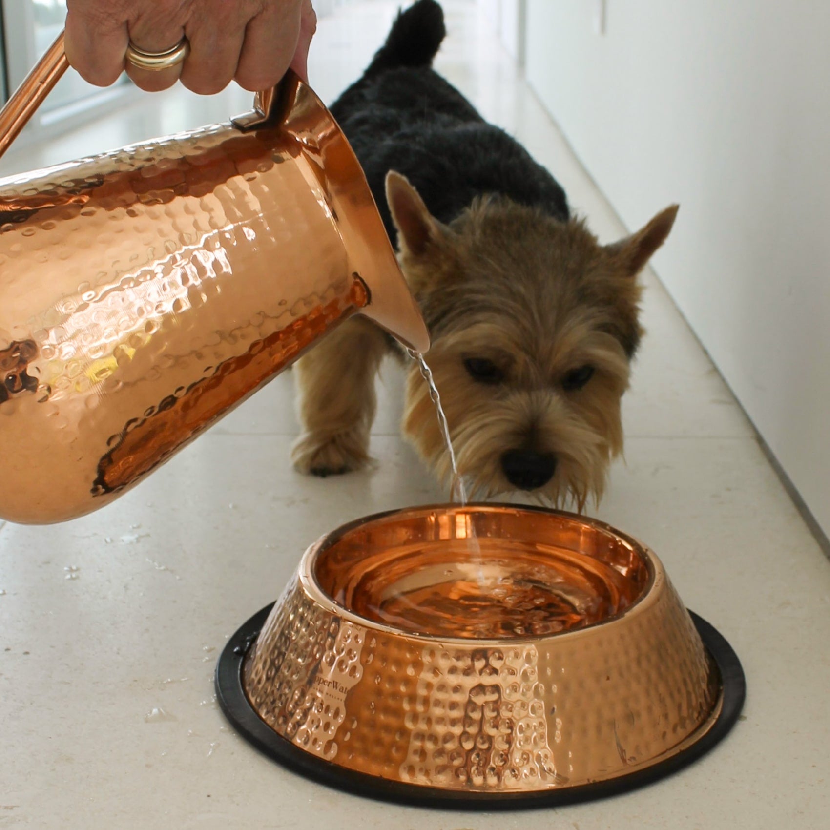 Handmade Pure Copper Pet Bowl
