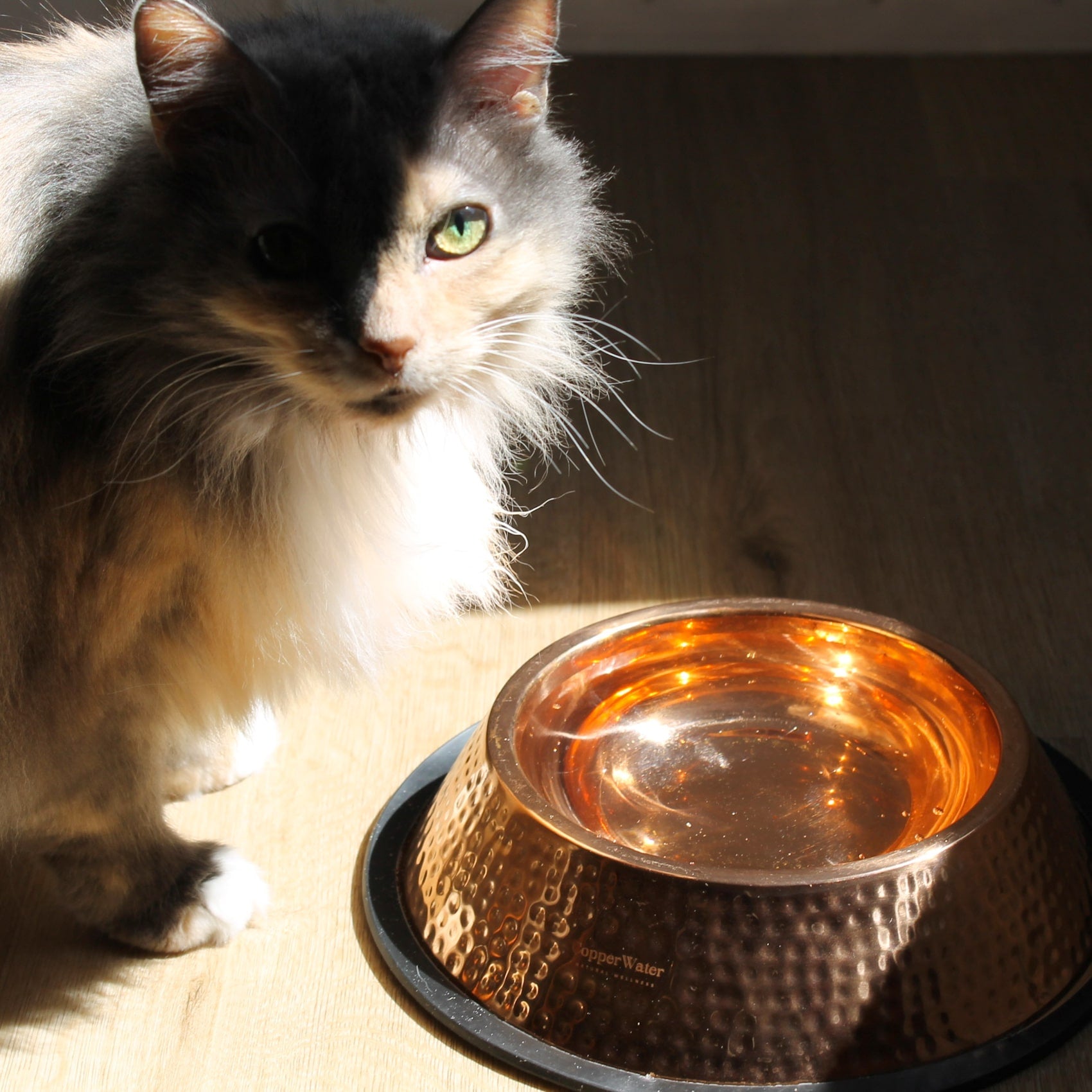 Handmade Pure Copper Pet Bowl
